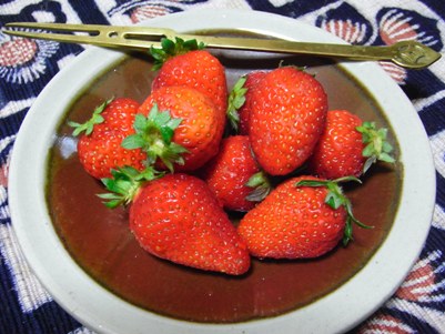 20090412f.jpg