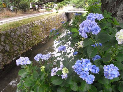 20090704h.jpg