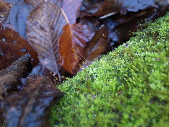 R0013235.jpg
