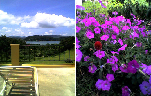 iriomote